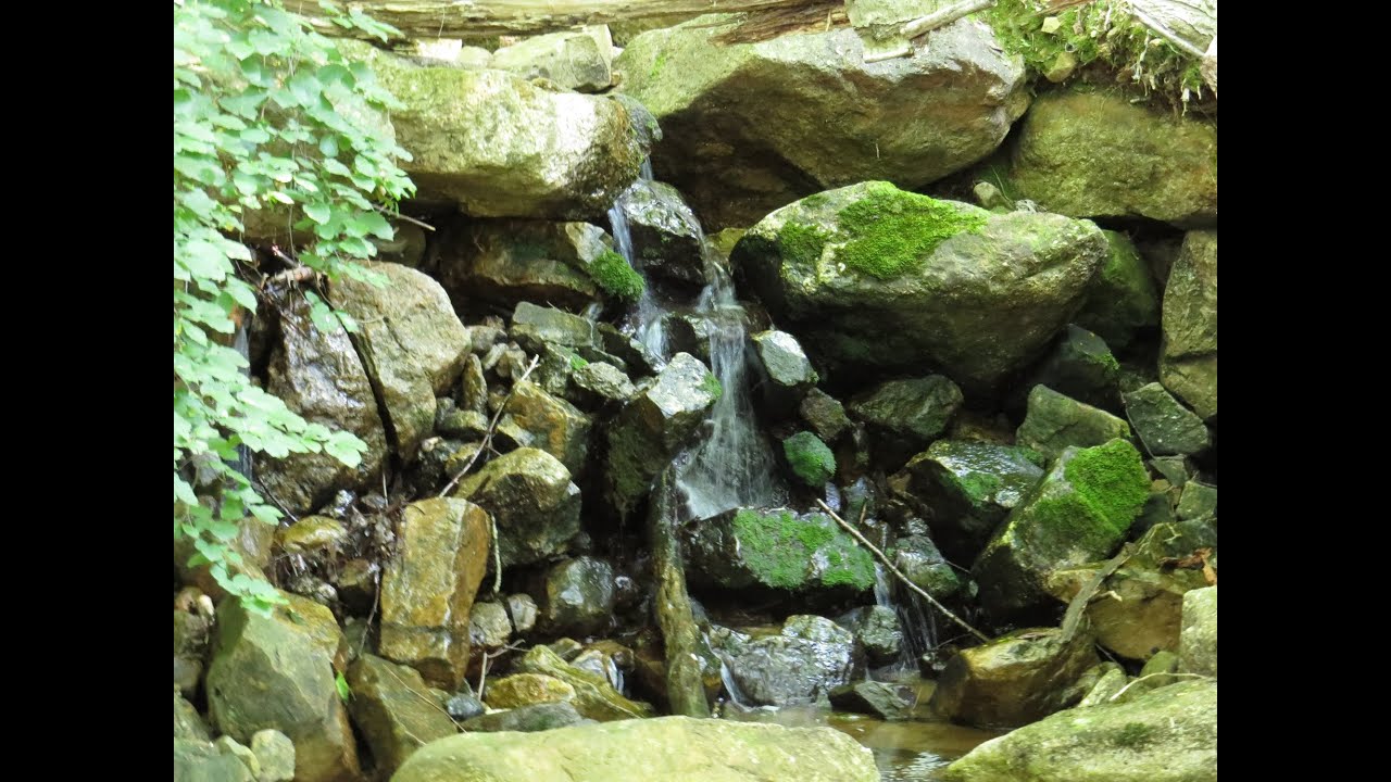 Exploring the Abandoned village of Yellow Springs