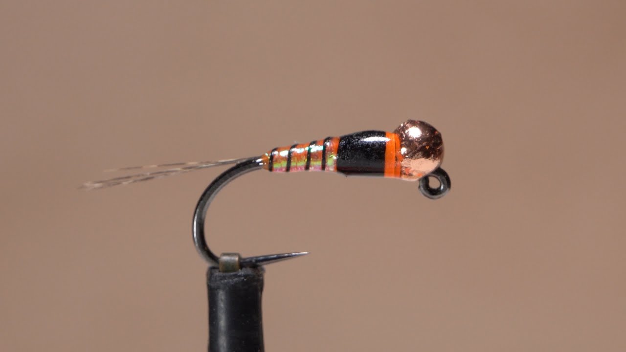 Jig Napoleon