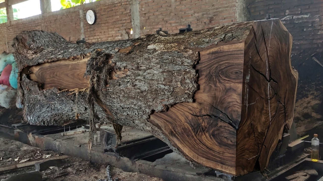Advanced Chainsaw Technology In Large Scale Wood Processing