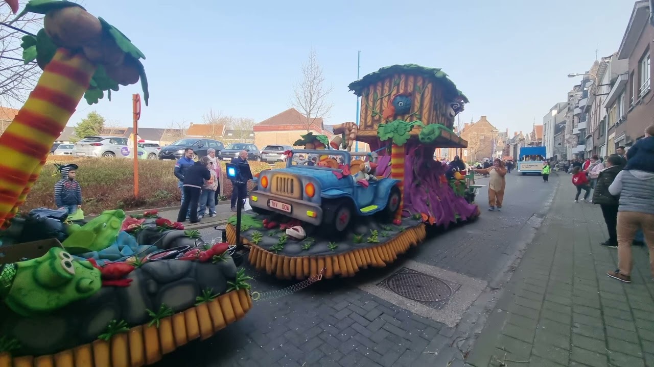 Carnaval optocht Temse fotoimpressie deel 3 2026