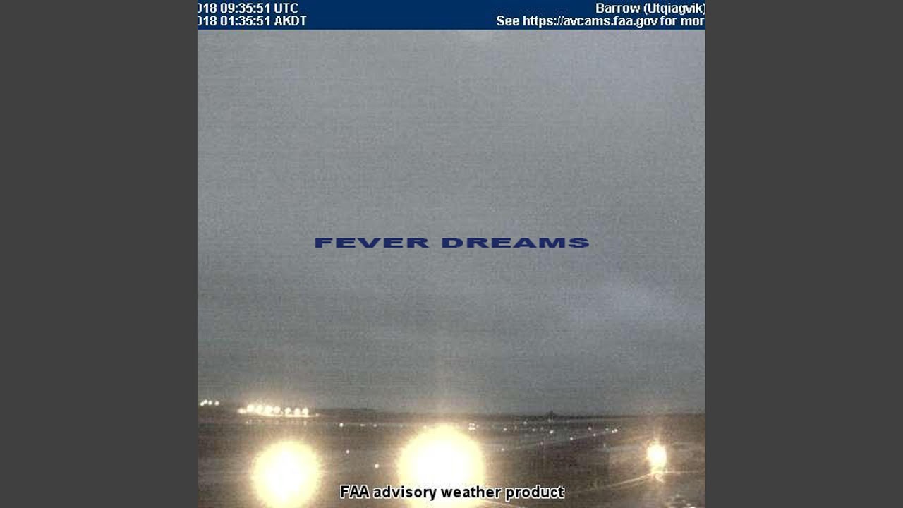 fever dreams (feat. ginseng)