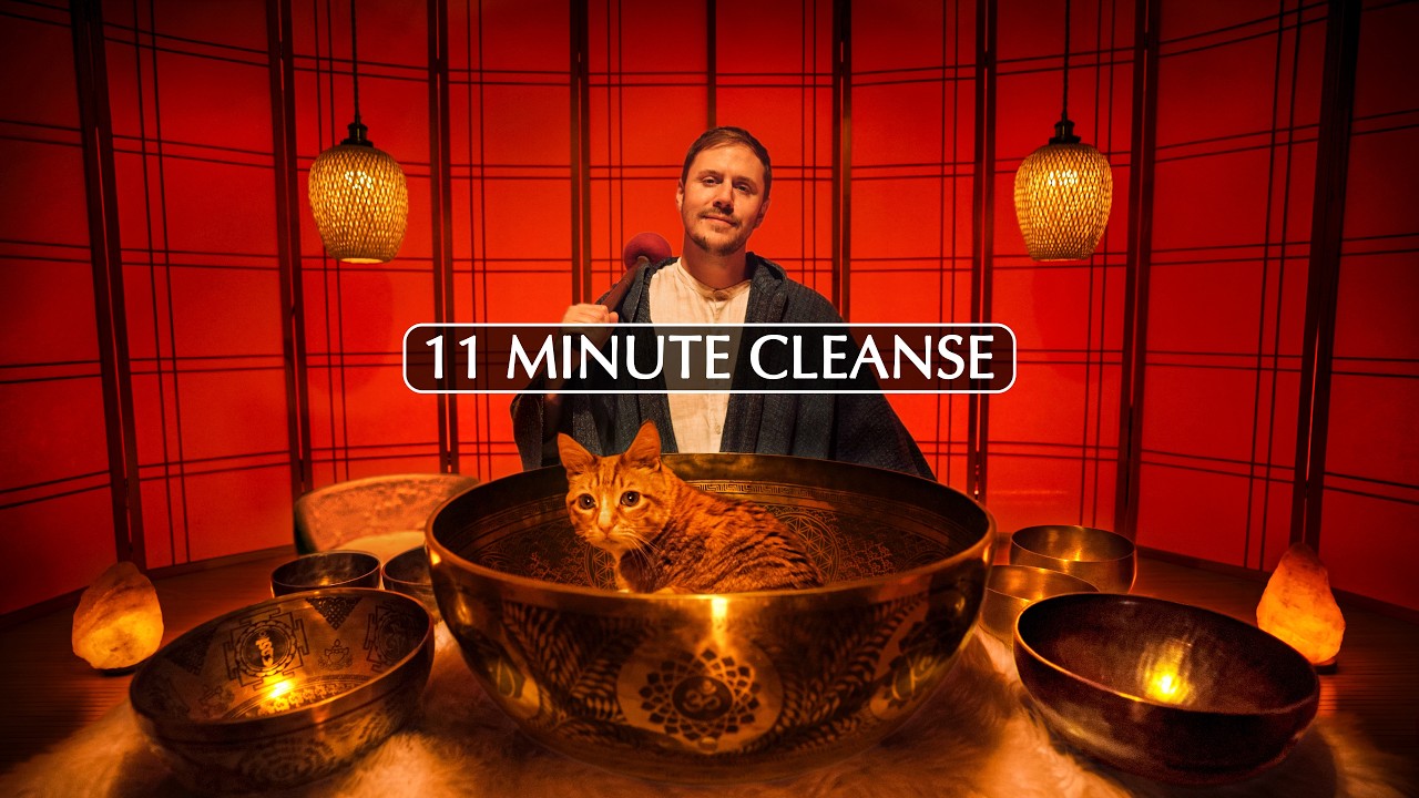 **QUICK** Nervous System Reset (11 Minute Cleanse)