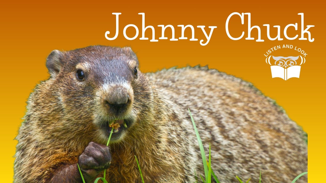 Listen and Look Burgess Animal Book Chapter 7: Johnny Chuck Joins the Class