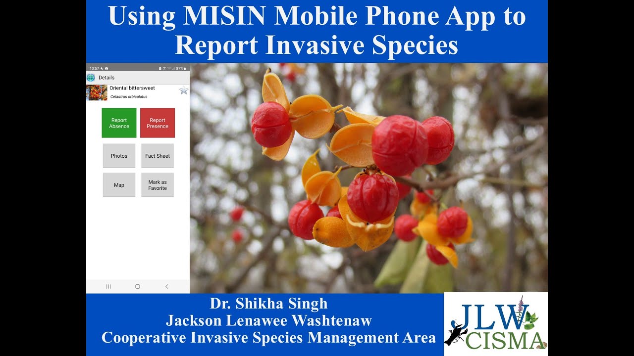 MISIN Instructional Video