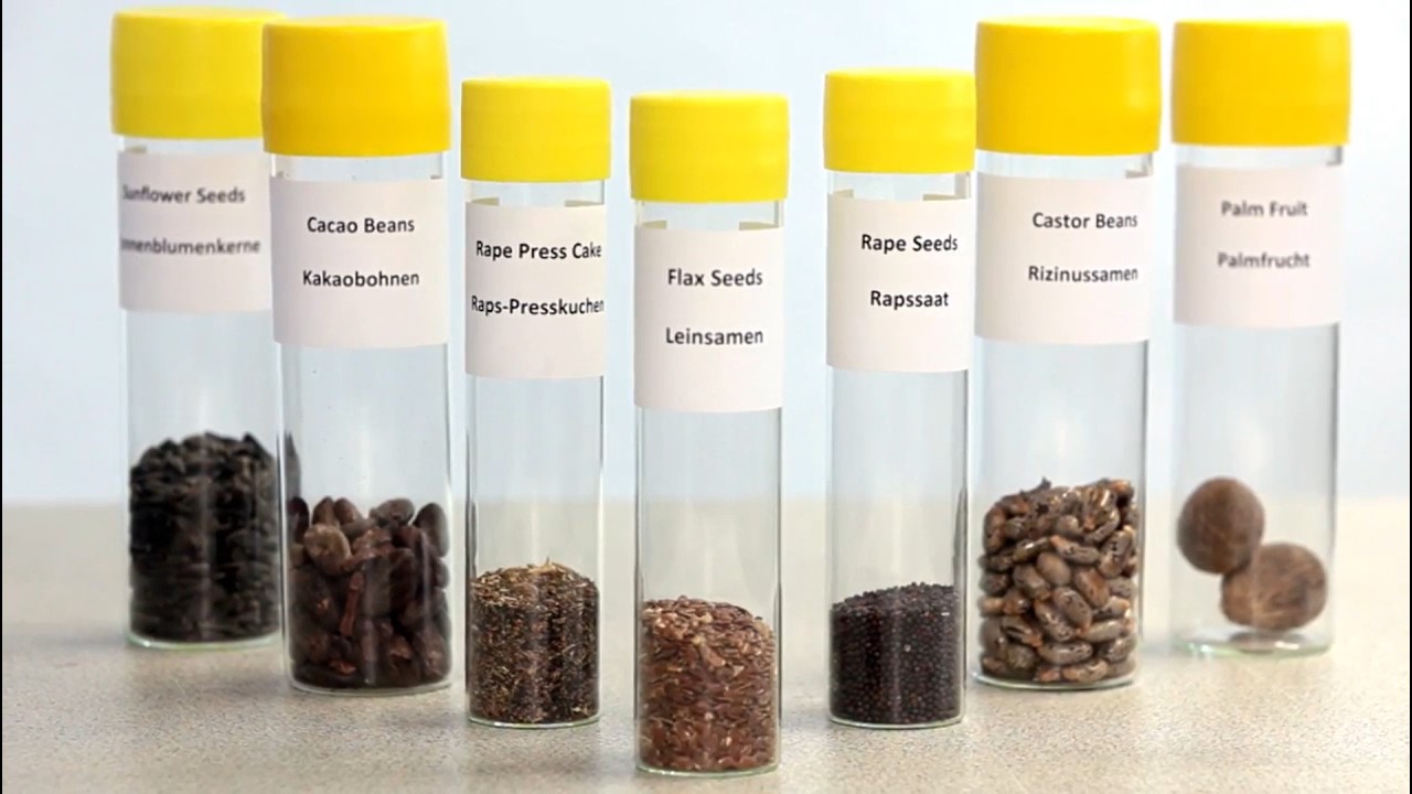 l and Moisture Analysis in Seeds and Nuts | TD-NMR minispec Seed Analyzer (Food Analysis)