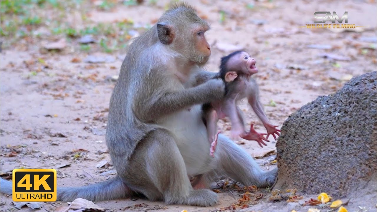 BUTON: The Mother Of Discipline | Full Documentary