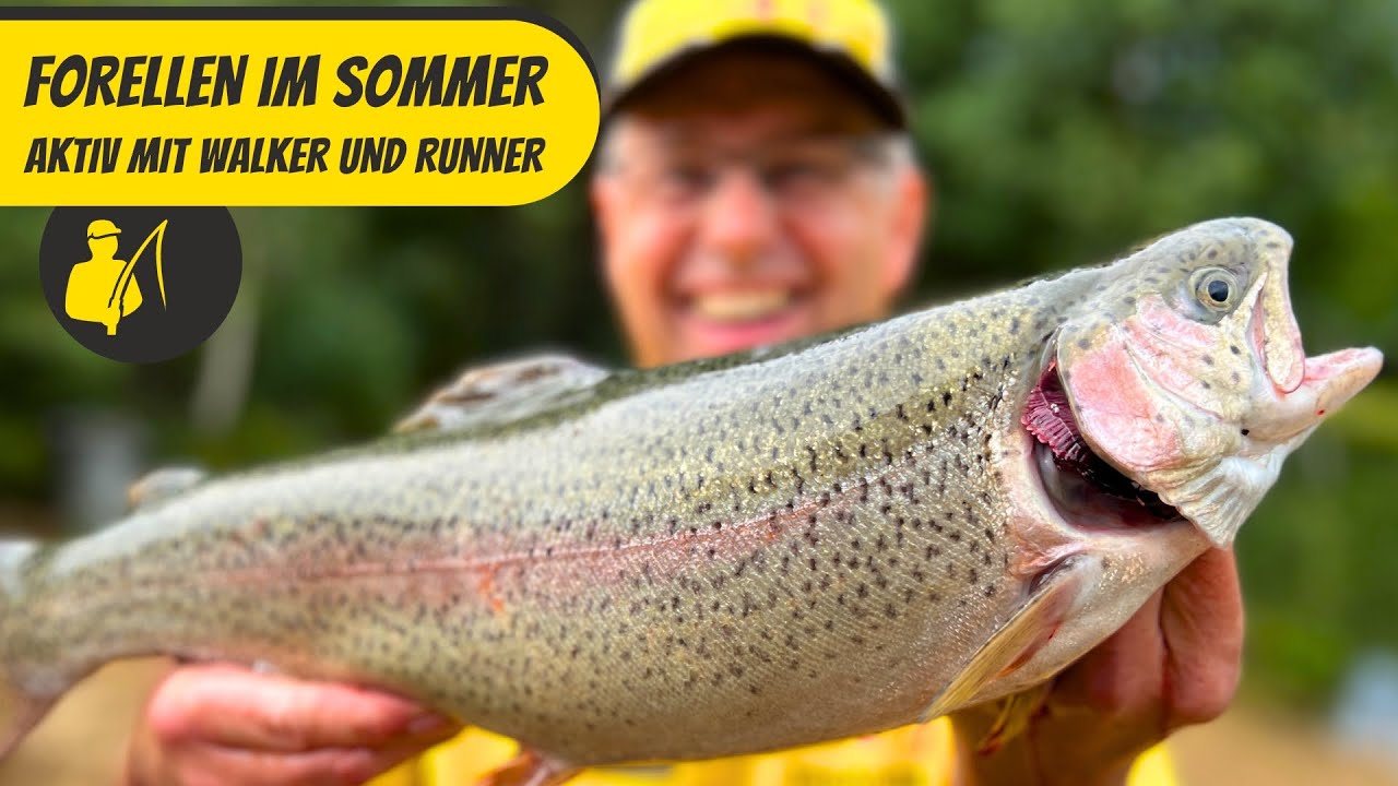 Forellen im Sommer - Aktiv mit Walker und Runner