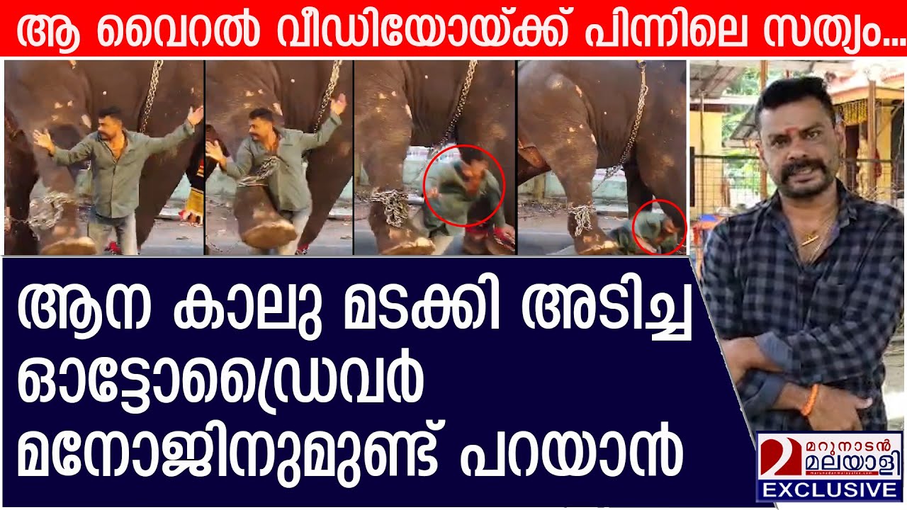 തിടമ്പേറ്റി വന്ന ആന തൊഴിച്ചെറിഞ്ഞ മനോജ് ഉണ്ടായത് എന്തെന്ന് വിശദീകരിക്കുന്നു | Viral Video