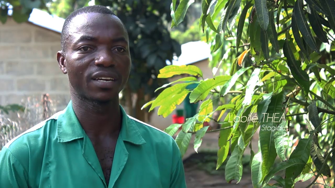 Le système intégré pour une agriculture durable