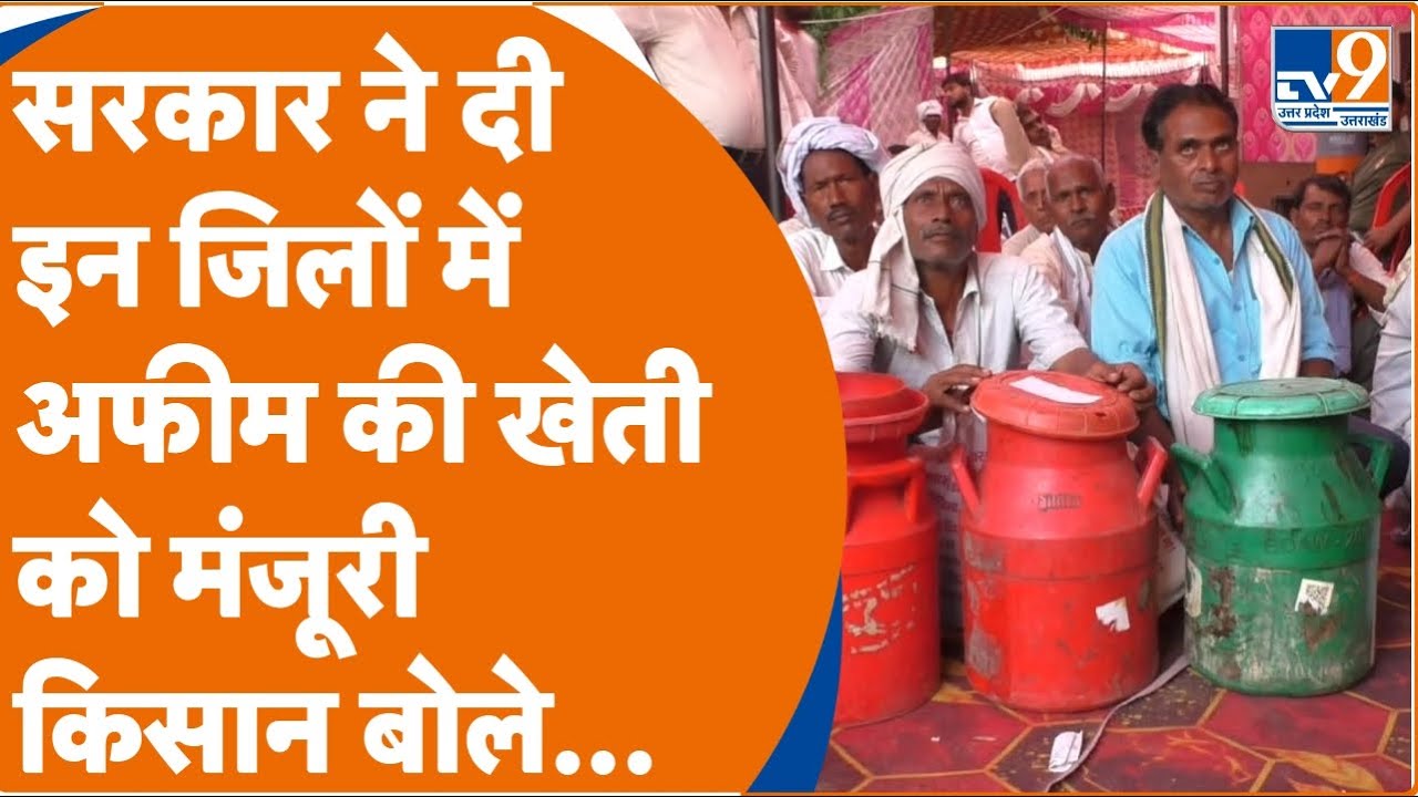 UP में सरकार इन जिलों में किसानों को अफीम की खेती के लिए देती है विशेष लाइसेंस, ये है पूरा Process