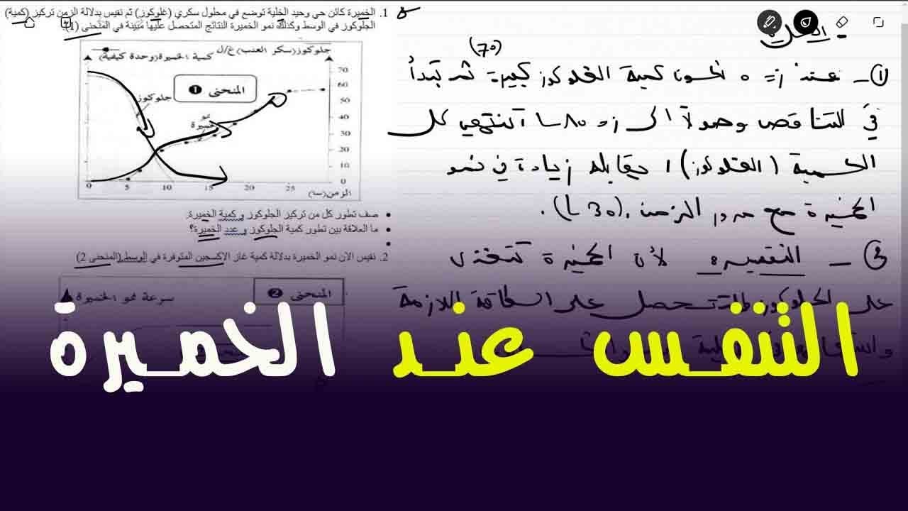 علوم طبيعية الرابعة متوسط وضعية ادماجية حول التنفس عند الخميرة