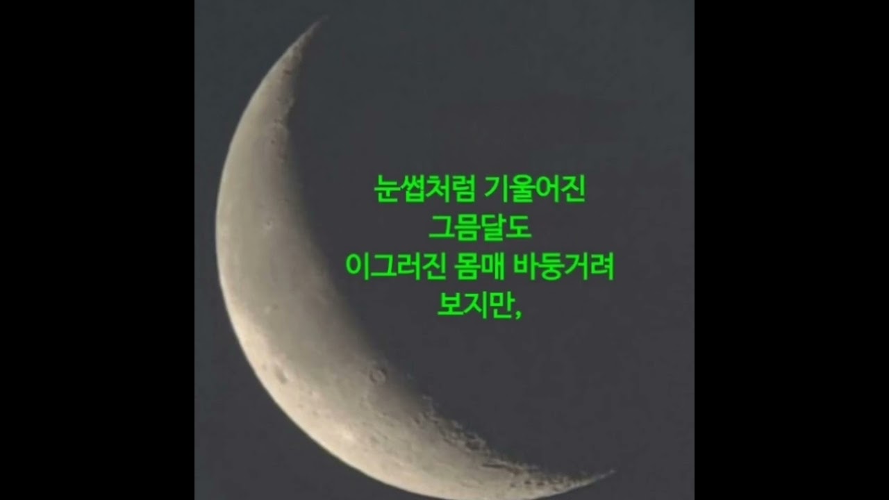 섣달그믐