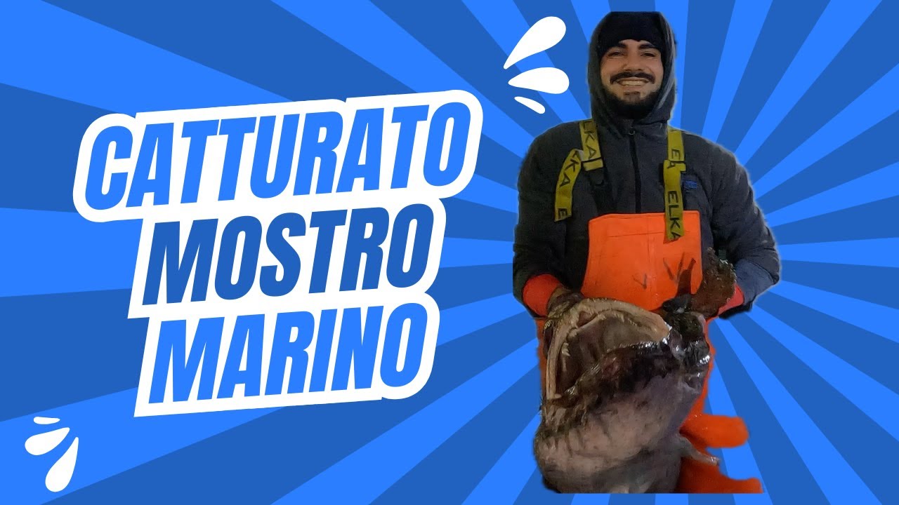 PESCATO DELLA SETTIMANA! RANA PESCATRICE GIGANTE