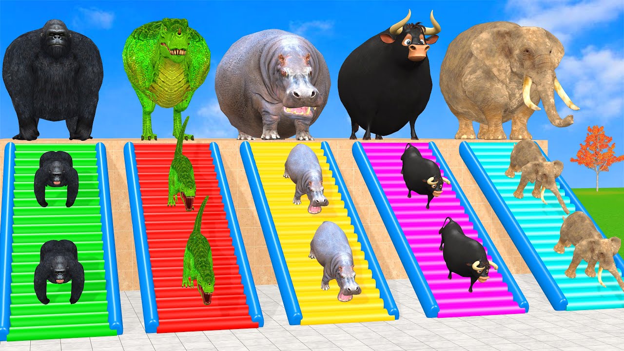 Long Slide Game with Cow Elephant Gorilla Hippopotamus Tiger 3d Animal Game Funny 3d Animals