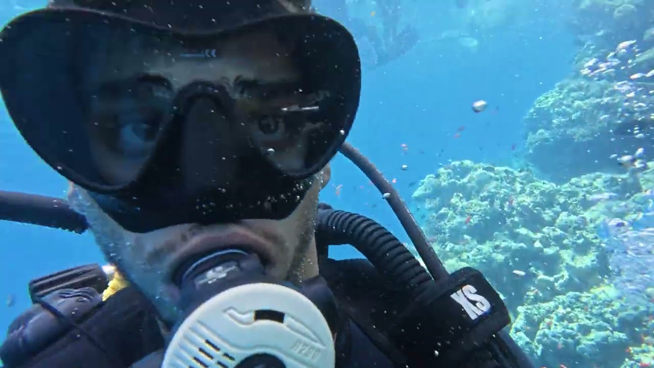 Diving in Sharm El Sheikh Egypt 🇪🇬 