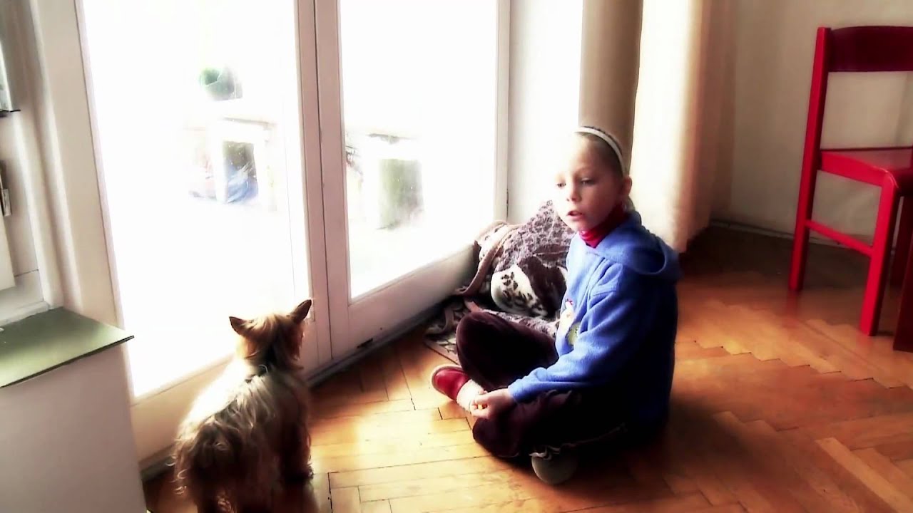 Zostań Rodzicem SOS