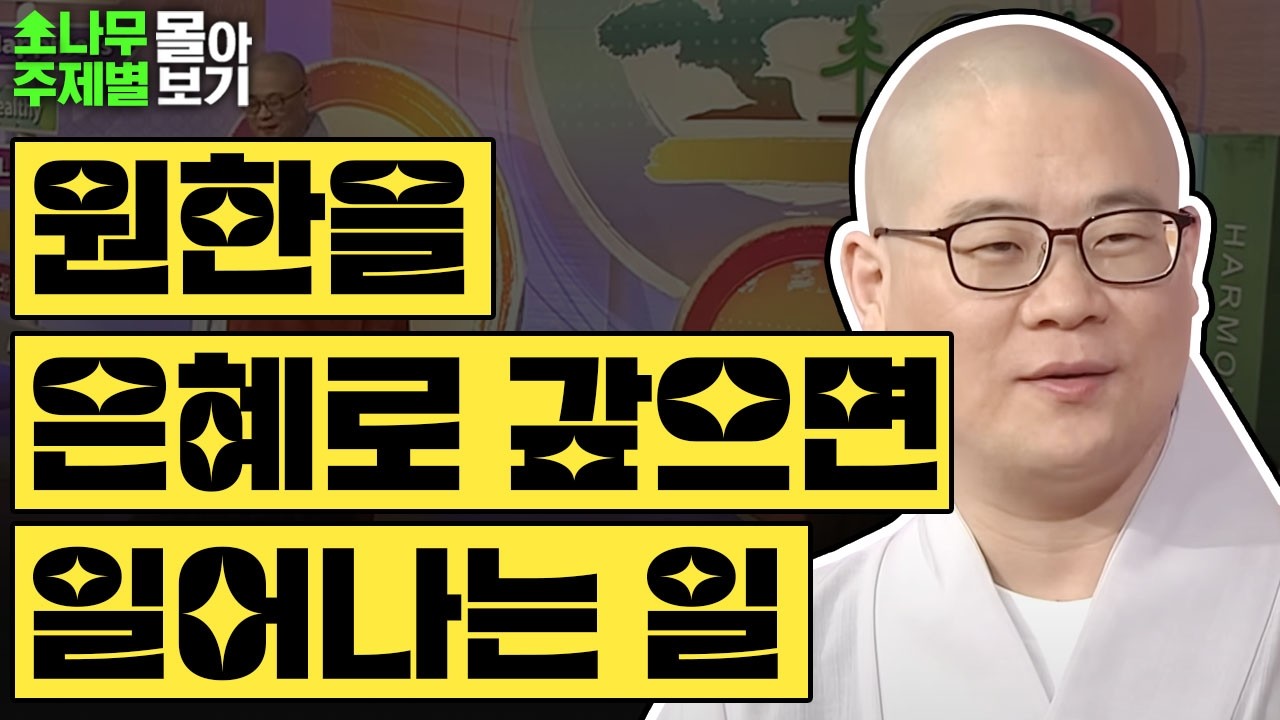 원한을 은혜로 갚으면 일어나는 일 ✨  [광우스님 소나무 주제별 몰아보기]
