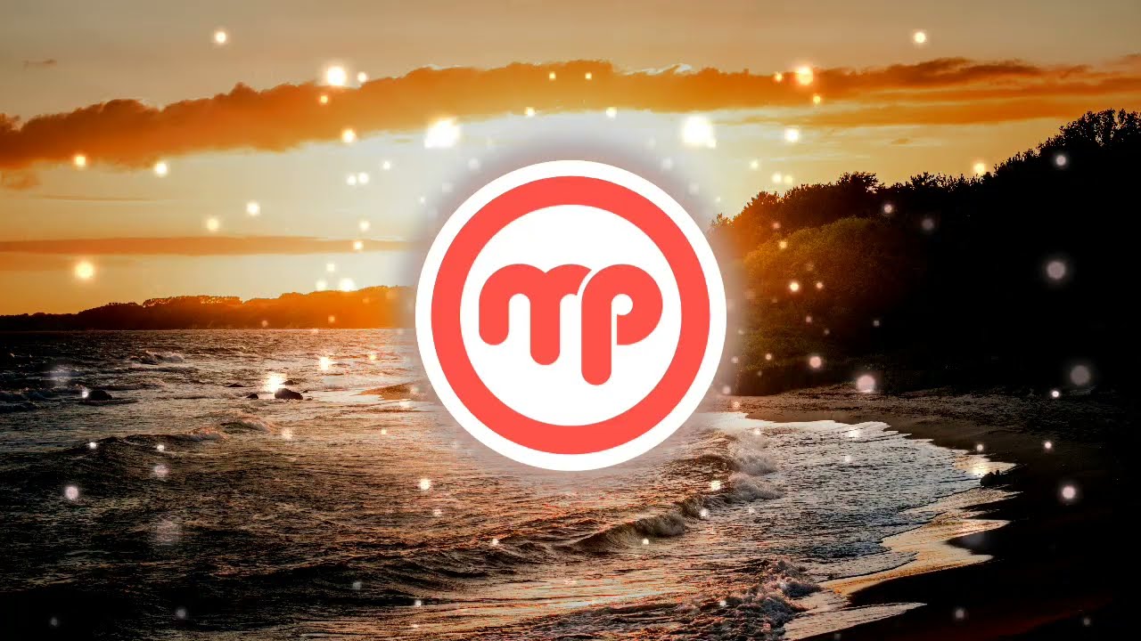Vibe Thrust - EDM Slap House Music 🎧