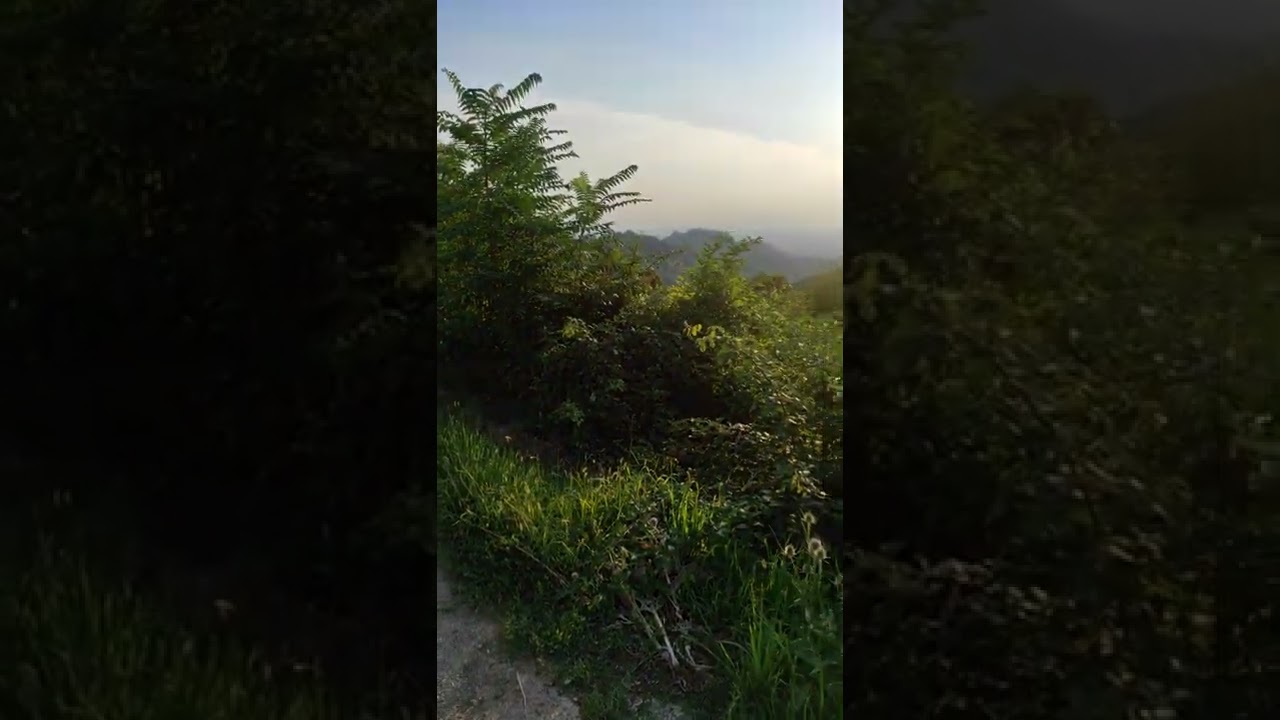 Trail sentiero 26 | da Superga a Torino