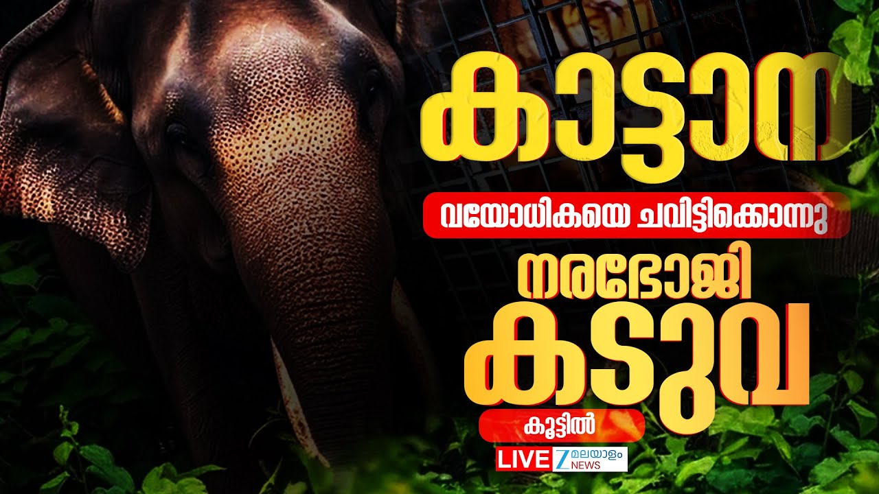 Live : Wayanad Wild Elephant Attack | കാട്ടാന വയോധികയെ ചവിട്ടിക്കൊന്നു  | Zee Malayalam News