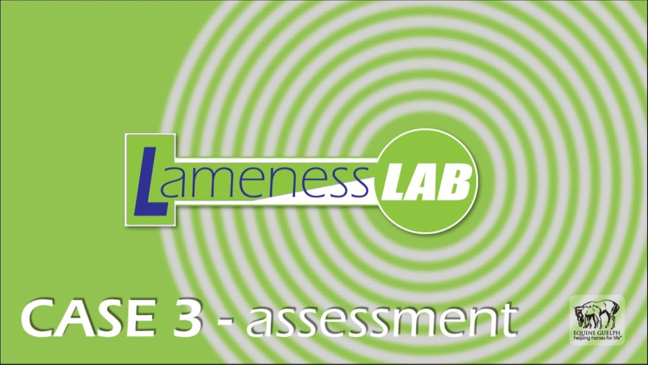 VIDEO CHALLENGE Case 3  Assessment