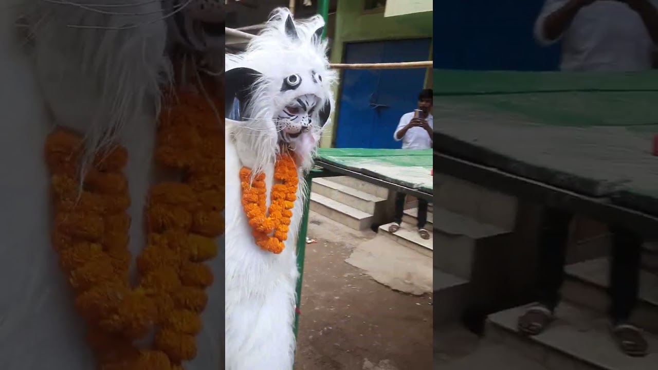 Muharram bagh 🦁2023 Fardeen (Taete)