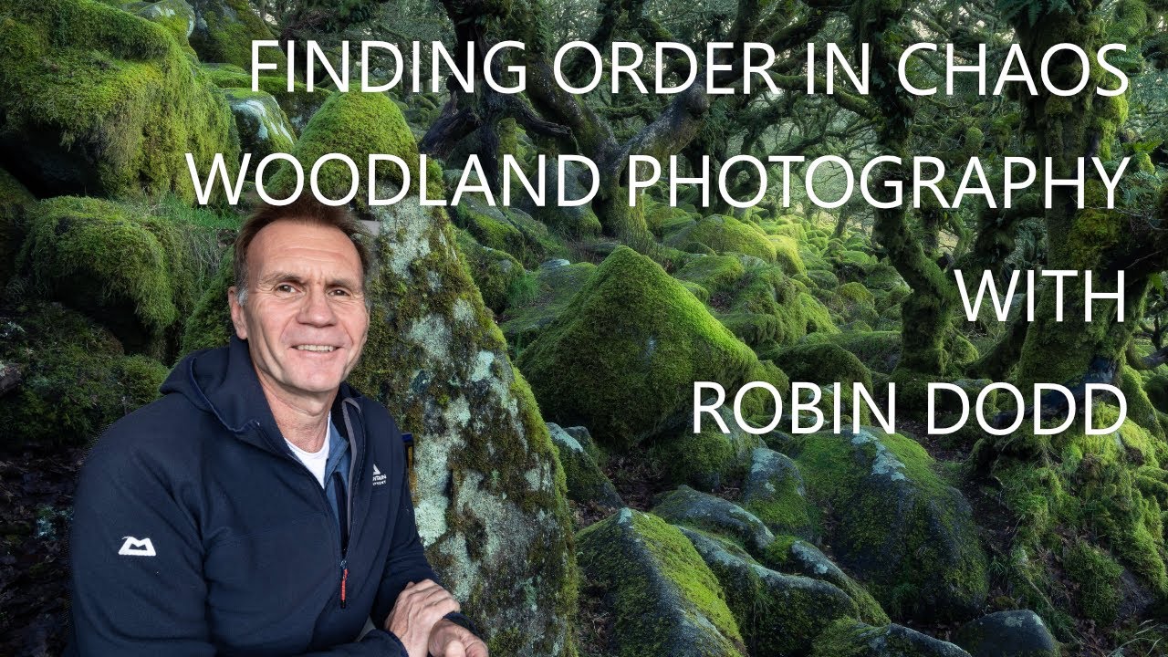 Robin Dodd Woodland Photography, Composition & Finding Order in Chaos