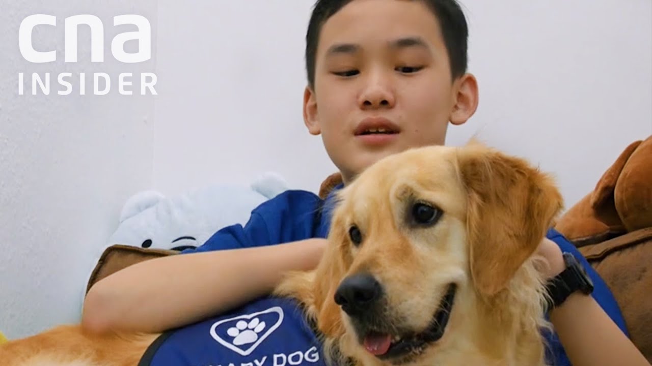 Therapy Dogs Help 12-Year-Old With Dyslexia Pass PSLE