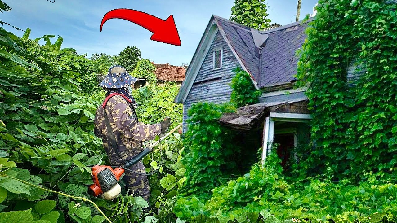 Полное видео Сосед помешал нам убрать этот грязный, заросший дом