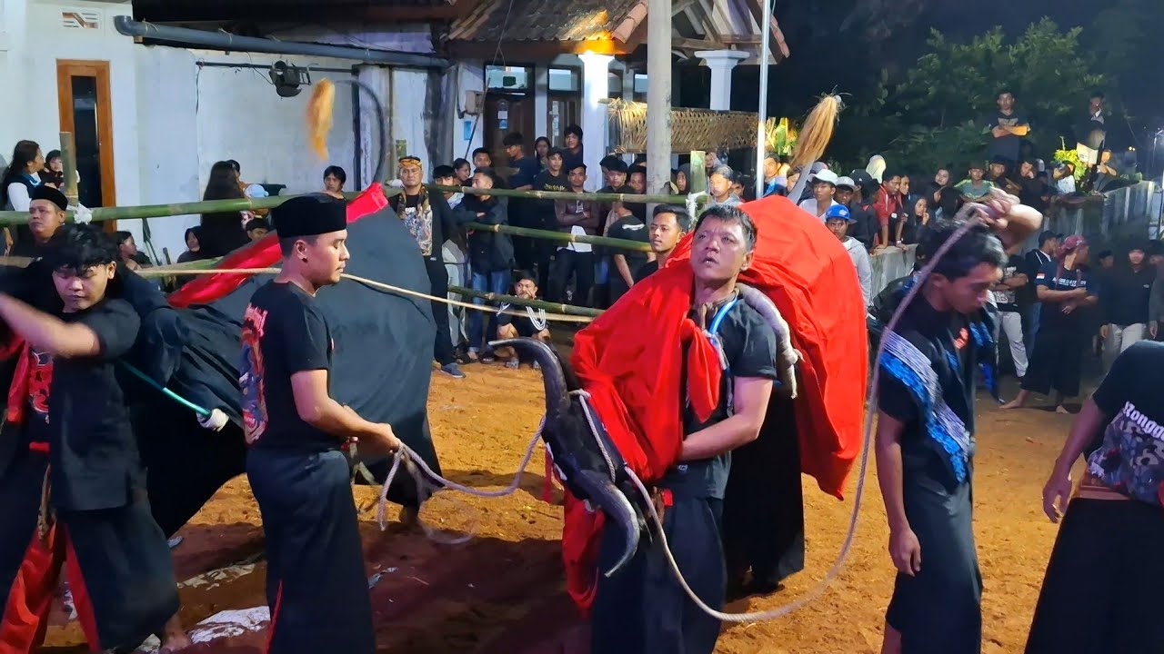 Ngeri RONGGO SAKTI BUDOYO ‼️BANTENG  SRUDUKAN HOROR || SEMUA PENONTON SEMBURAT