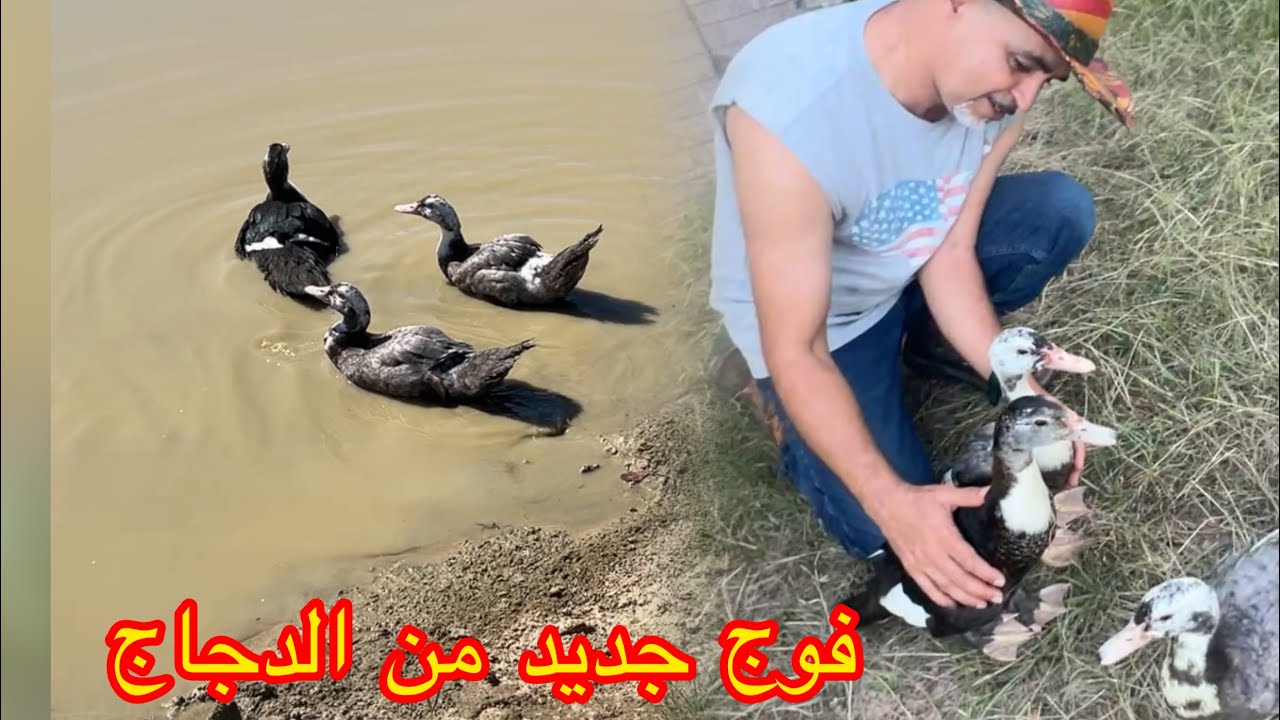 أول مرة كنصادف  مع  هوتة في سوق التاج 😱
