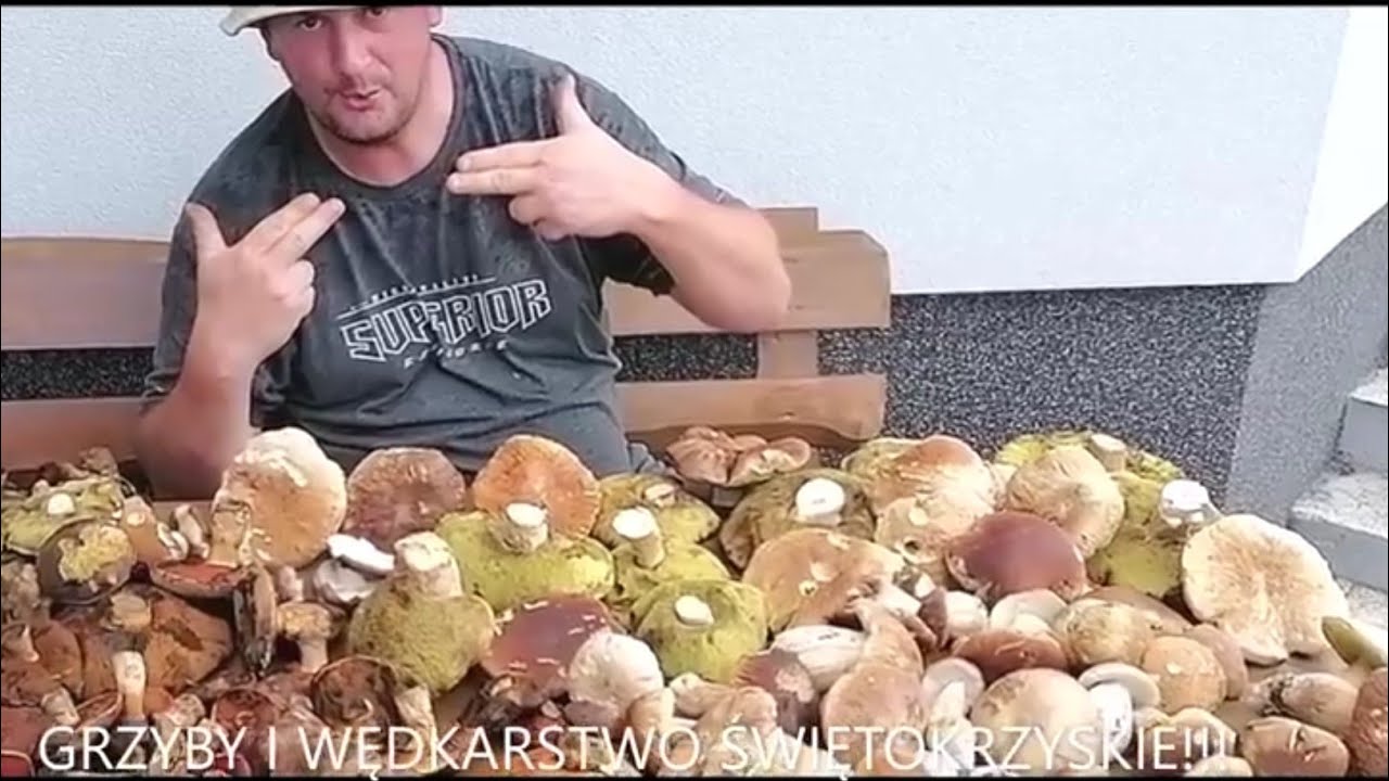 WYSYP GRZYB&Oacute;W 21.07.2023 !!! KOZAKOWA BOMBA NR 2 !!!#MUSHROOMS #GRZYBY 2023