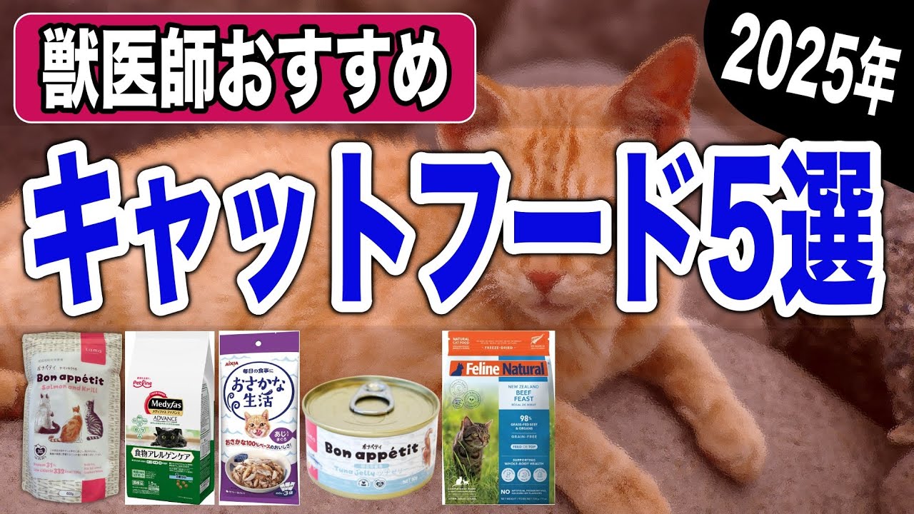 【2025年】獣医師おすすめキャットフード5選｜良質な猫のご飯