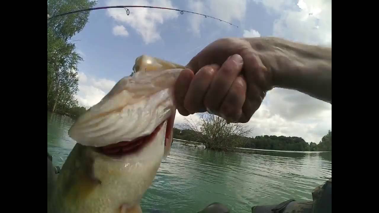 Black bass juillet 2016