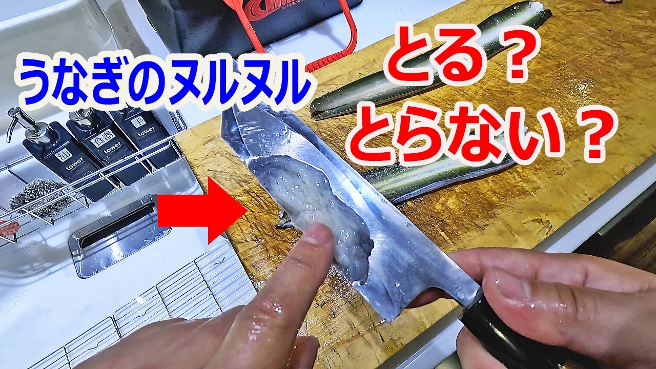 【熟成うなぎ】　２週間放置したうなぎがヤバかった件について！