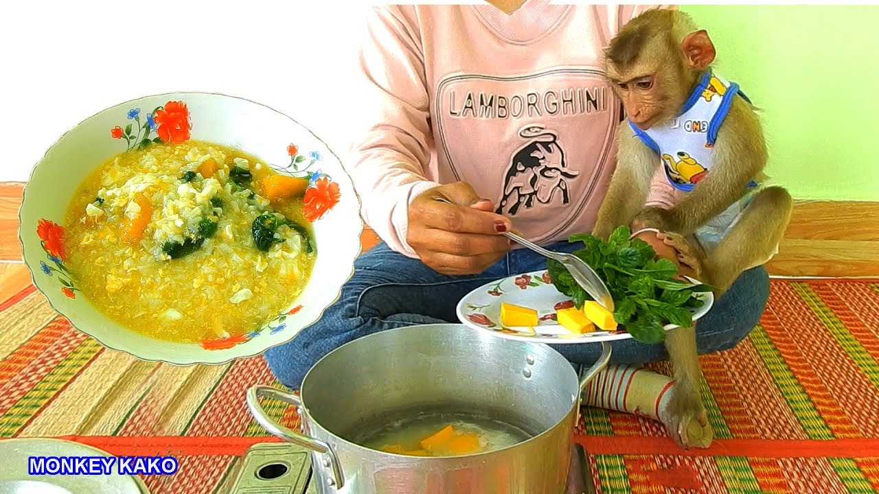 Baby Porridge!! Lovely Mom Cooking Porridge With Vegetables For Monkey Kako Very Delicious