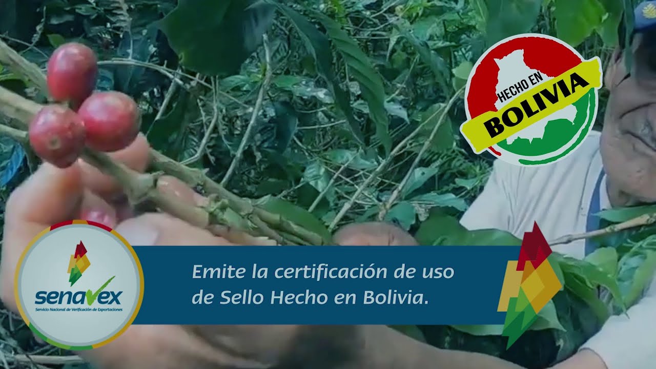 SENAVEX (Servicio Nacional de Verificaci&oacute;n de Exportaciones)