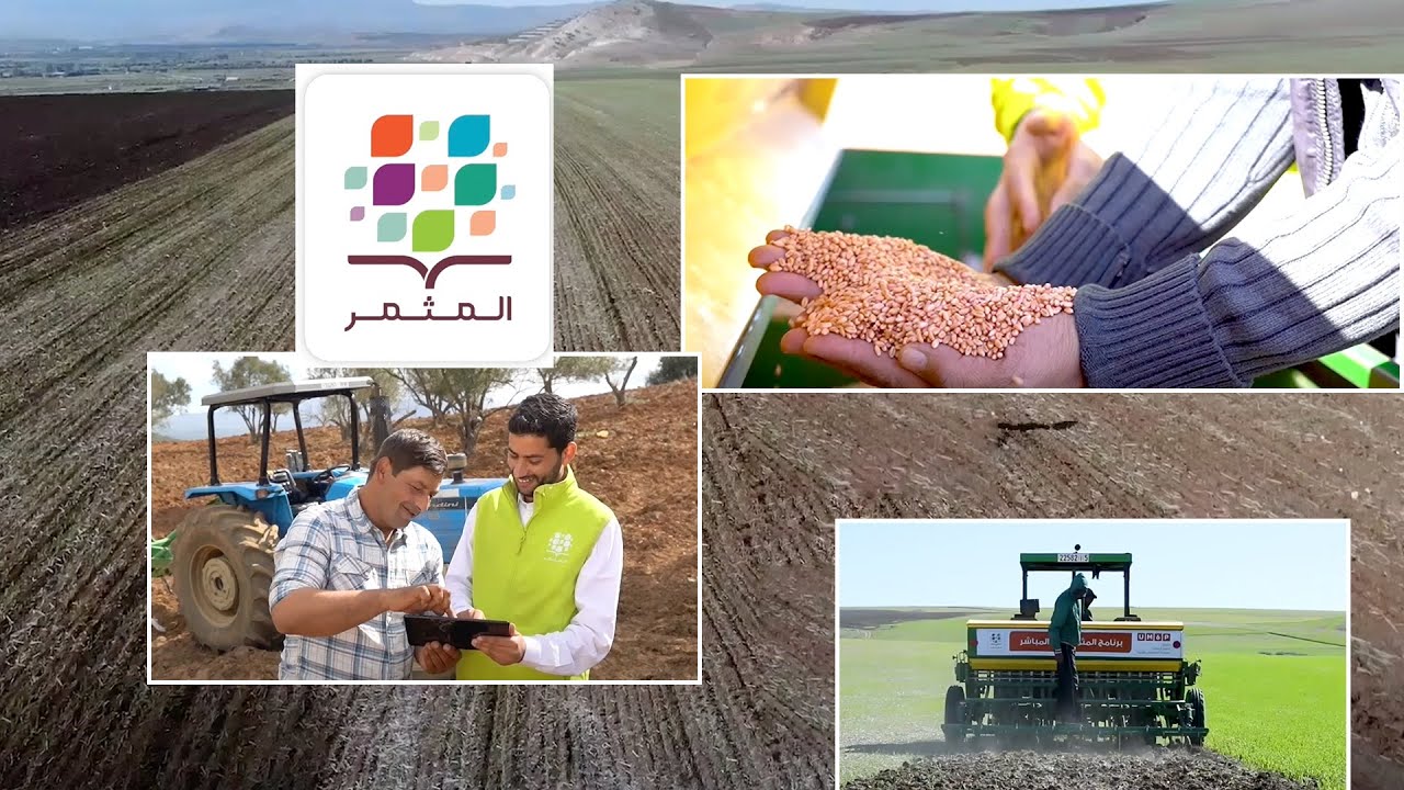 مبادرة 
