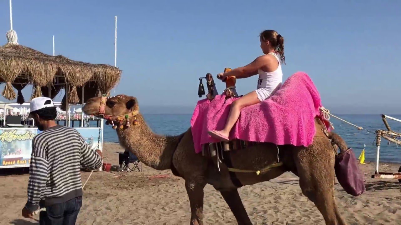 Kameel rijden tijdens vakantie in Turkije ! Delphin Hotel.