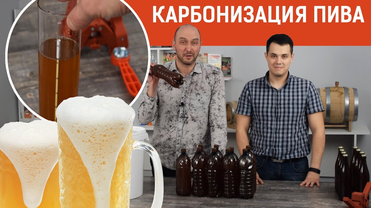 Домашнее пиво: оцениваем результаты брожения и обсуждаем способы карбонизации