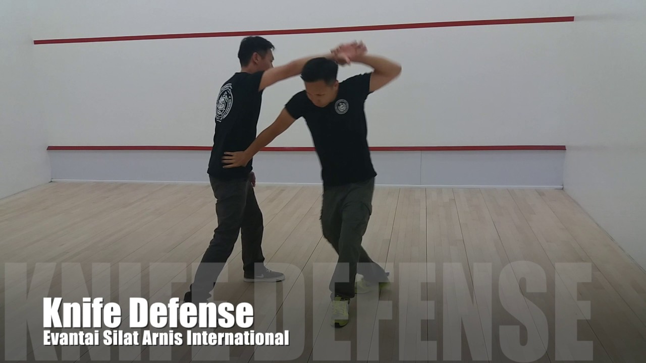 Knife Defense & Arm Lock
