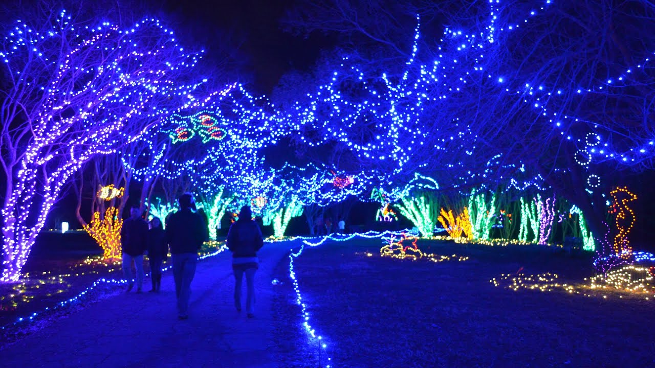 Interview: Norfolk Botanical Garden's Garden of Lights