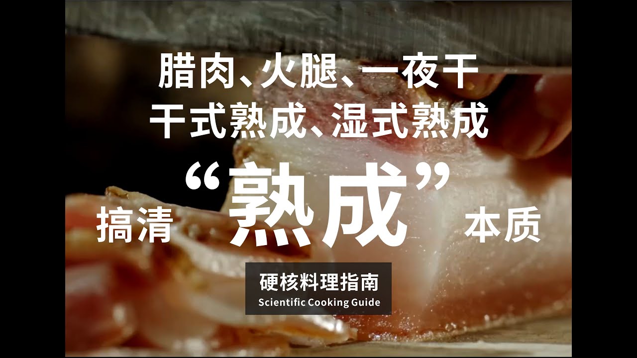 硬核烹饪指南06期：一张图搞清&ldquo;熟成&rdquo;的本质，腊肉、火腿、一夜干、干式熟成、湿式熟成全解析The nature of dry aging-《Hardcore Cooking Guide 06》