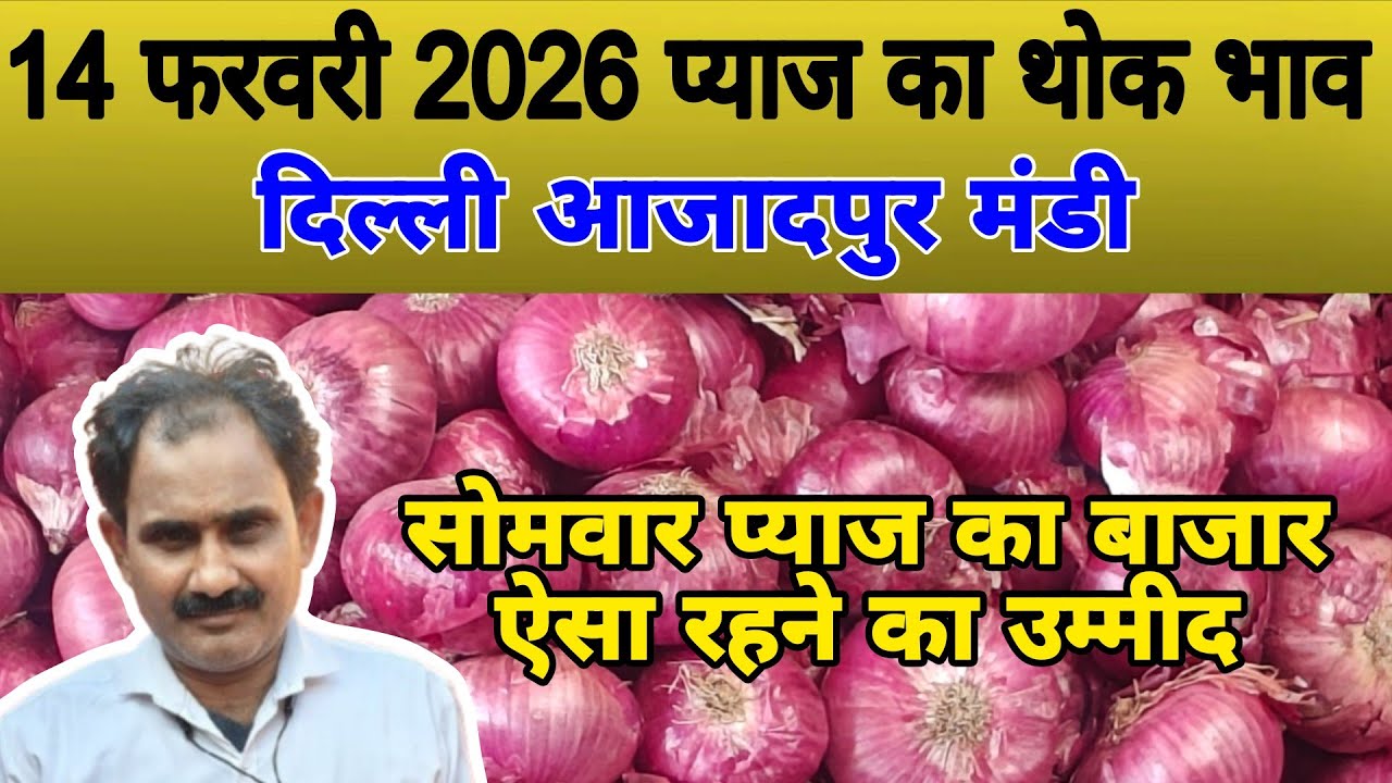 सोमवार प्याज का बाजार ऐसा रहने का उम्मीद | Today onion price | pyaj ka bhav #onionprice #pyaj #onion