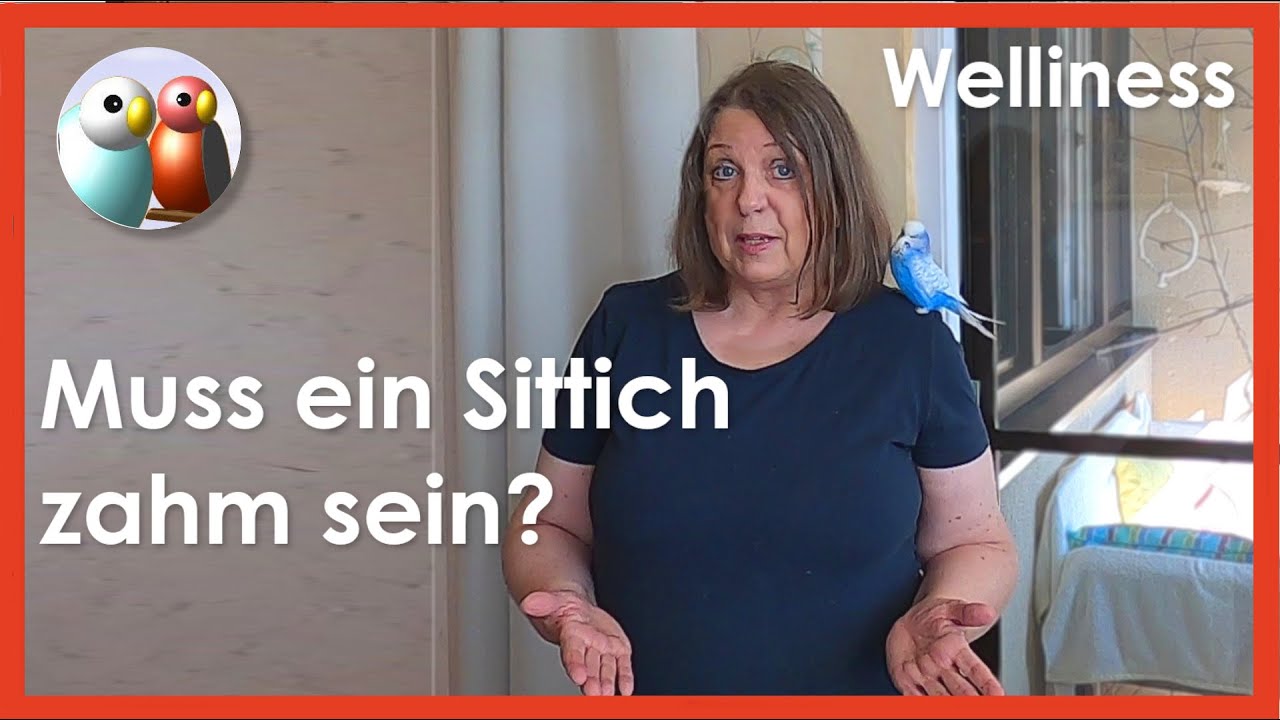 Ist dein Wellensittich zahm? Muss ein Sittich &uuml;berhaupt zahm sein? 59/178