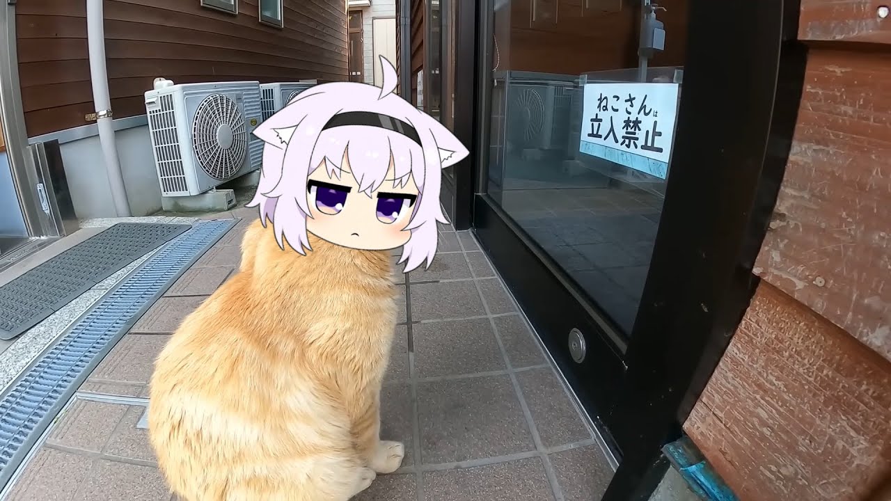 Okayu cat get banned | Animal hololive