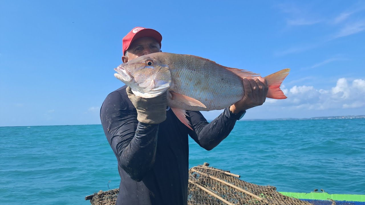 Os Mamutes pegam uma Pirâmide de peixe