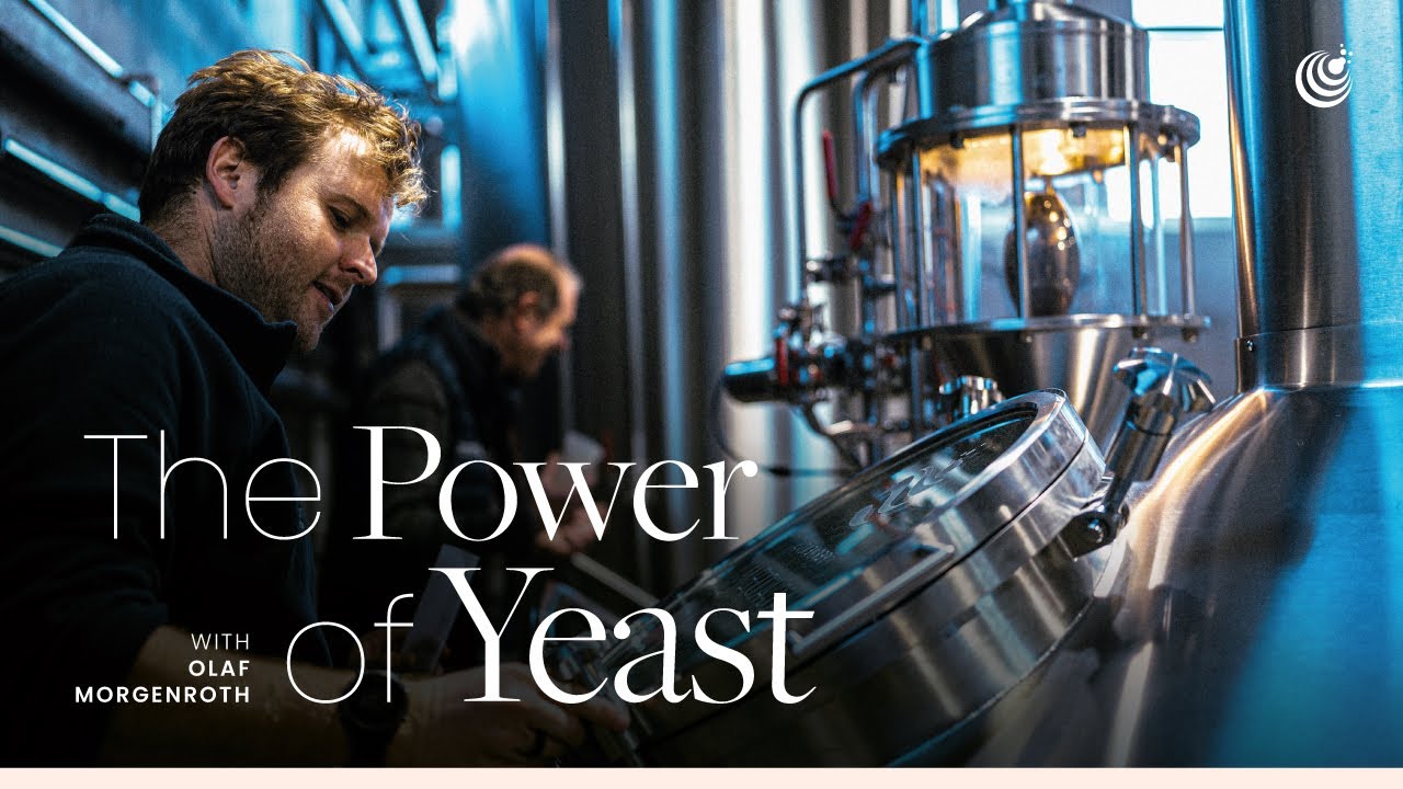 The Power of Yeast: Insights from Fermentis&rsquo; Head Brewer, Olaf Morgenroth