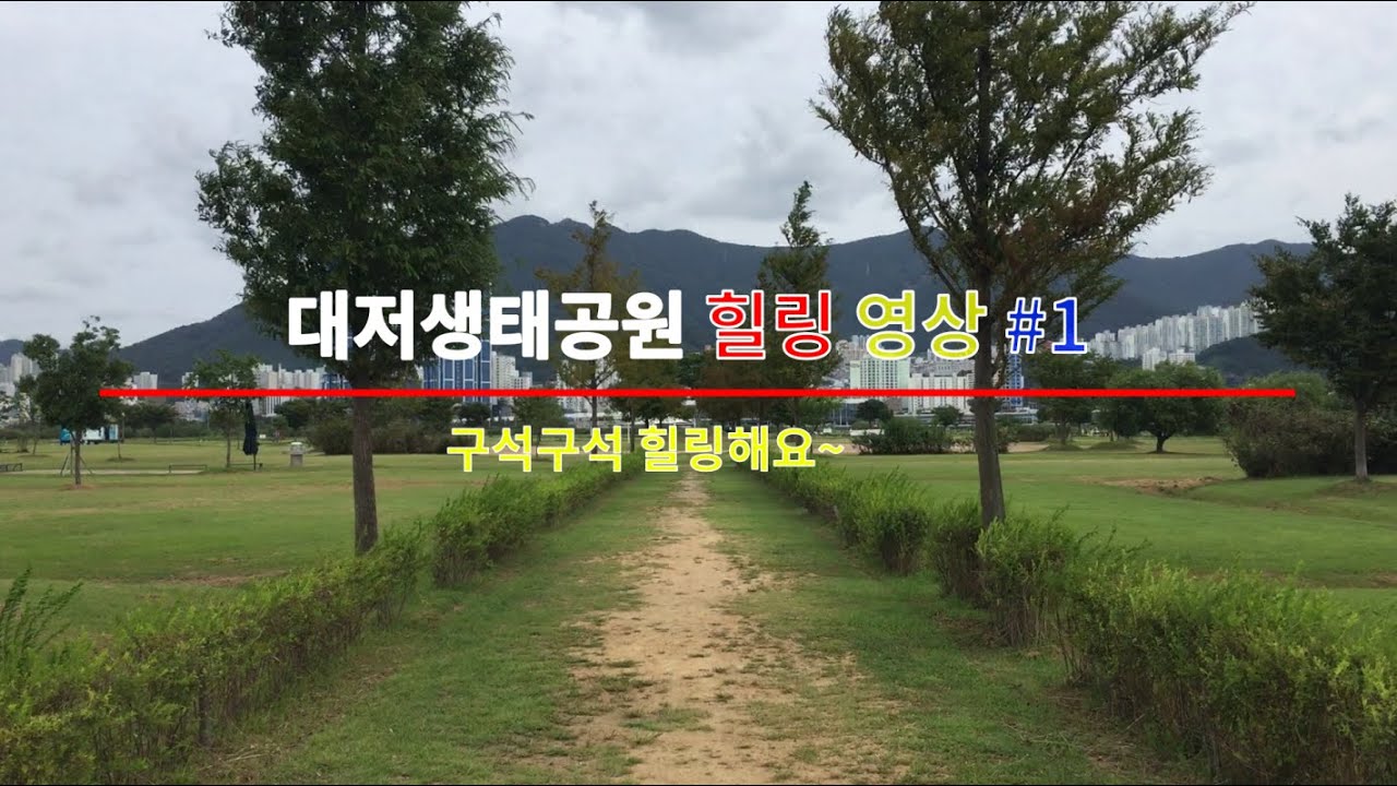 부산 강서구 대저생태공원 소개 힐링 영상 #1