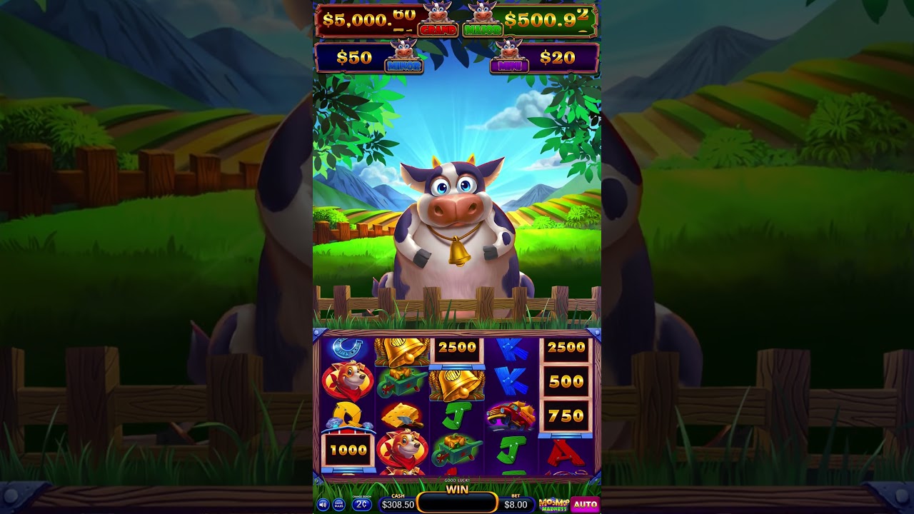 2025 NEW HET MOOMOO MADNESS COW PREVIEW BY CHANCE SLOT GAME CASINO GAME BOARD SUPPLIER CHINA SPIN